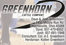 Greenhorn